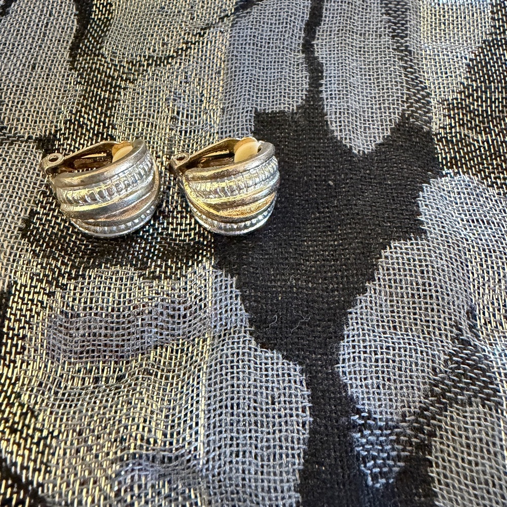 Gold and Silver Hoop Earrings